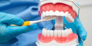 92 Dentistry in Portland OR demonstrating proper tooth brushing technique using a dental model and toothbrush.