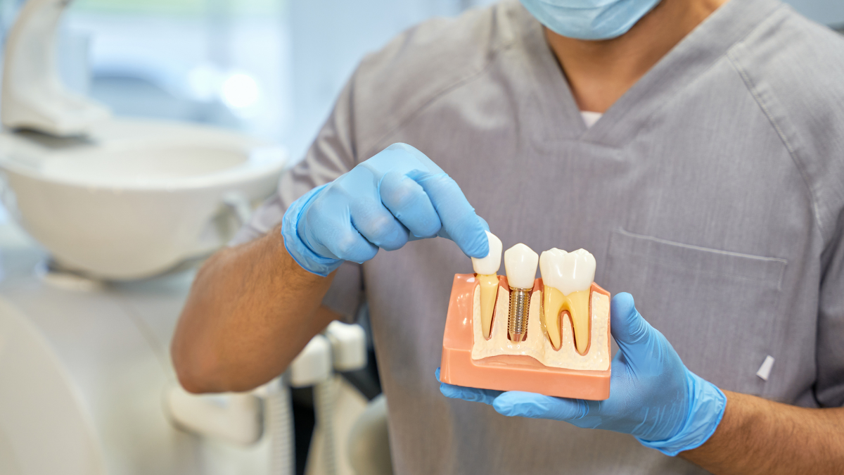 Dentist showing a model of a dental implant and teeth.
